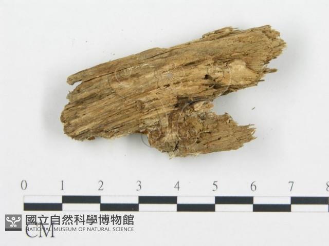 登錄號:F0009411藏品圖，第3張