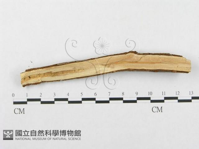 登錄號:F0002511藏品圖，第3張