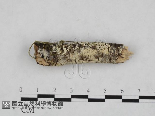 登錄號:F0000111藏品圖，第3張