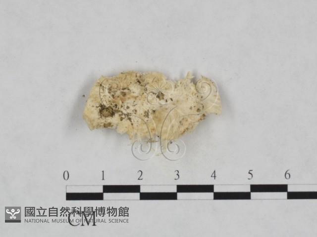 登錄號:F0024011藏品圖，第3張