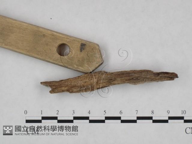 登錄號:F0022011藏品圖，第3張