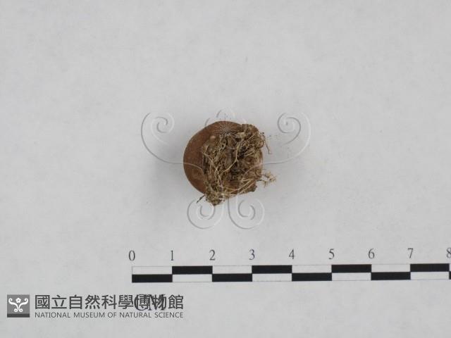 登錄號:F0025011藏品圖，第3張