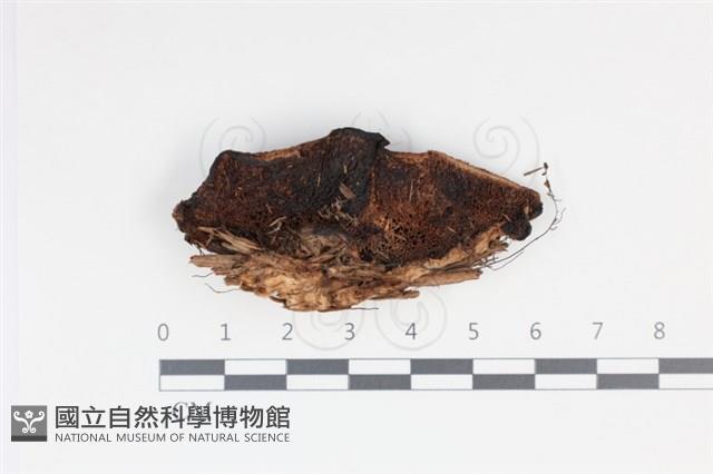 登錄號:F0035011藏品圖，第3張
