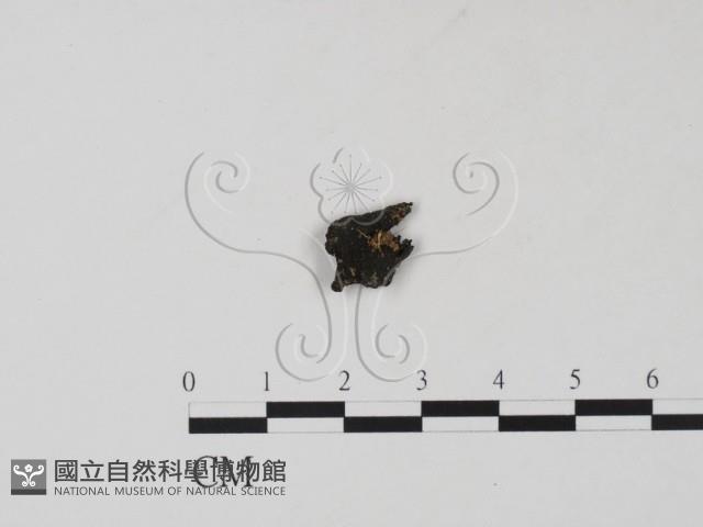 登錄號:F0001311藏品圖，第3張