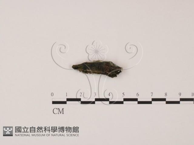 登錄號:F0011311藏品圖，第3張