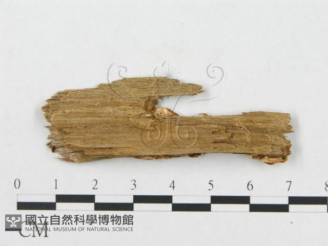 登錄號:F0008251藏品圖，第3張