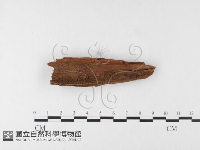 登錄號:F0024851藏品圖，第3張