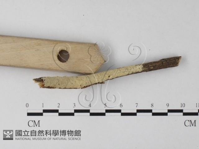 登錄號:F0023851藏品圖，第3張