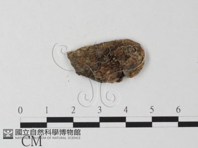 登錄號:F0023951藏品圖，第3張