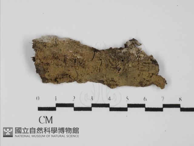 登錄號:F0031651藏品圖，第3張