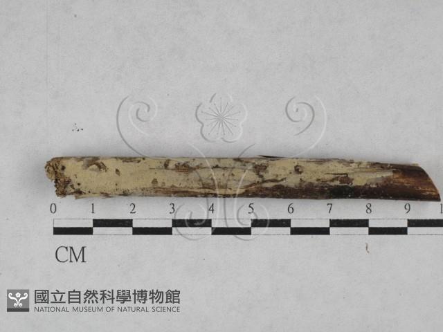 登錄號:F0028451藏品圖，第3張