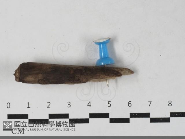 登錄號:F0033451藏品圖，第3張
