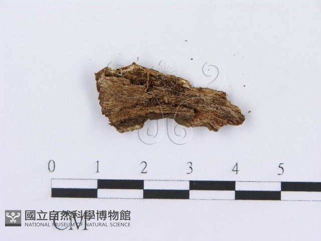 登錄號:F0008751藏品圖，第3張