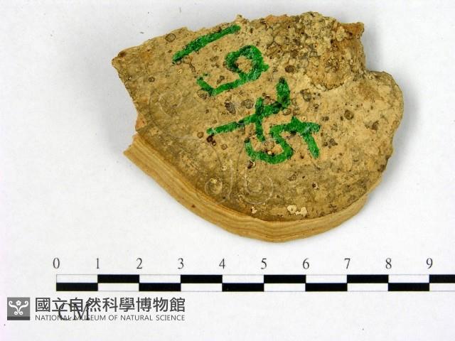 登錄號:F0006751藏品圖，第3張