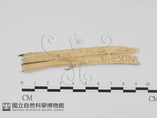 登錄號:F0011751藏品圖，第3張