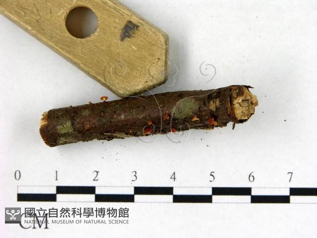 登錄號:F0022751藏品圖，第3張