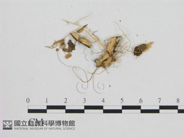 登錄號:F0009751藏品圖，第3張