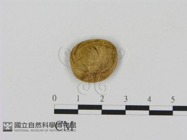 登錄號:F0003551藏品圖，第3張