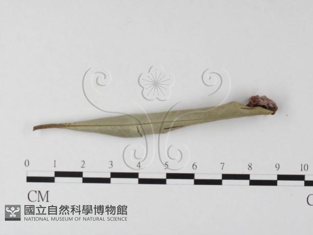 登錄號:F0021051藏品圖，第3張
