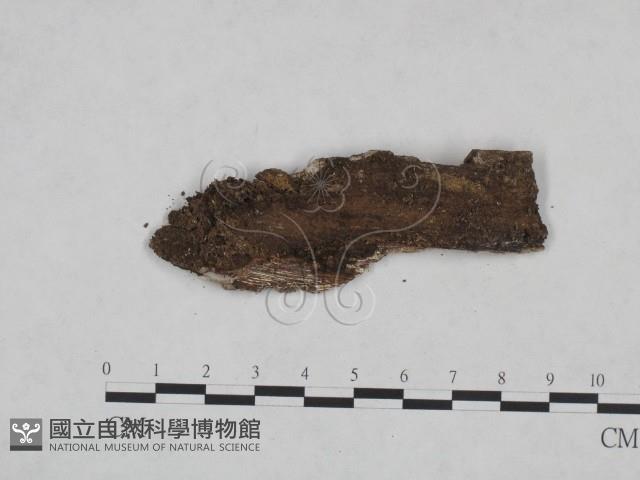 登錄號:F0025051藏品圖，第3張