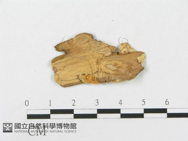 登錄號:F0008241藏品圖，第3張