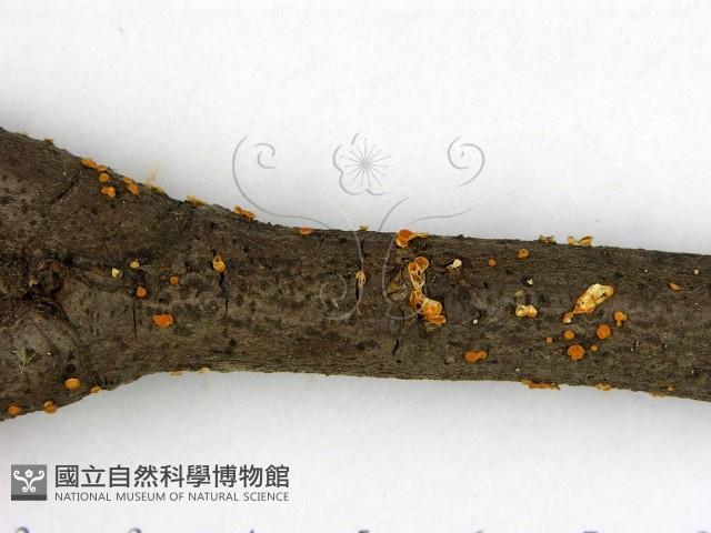 登錄號:F0012241藏品圖，第3張