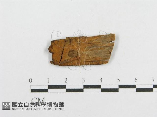 登錄號:F0017841藏品圖，第3張