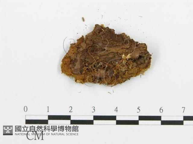 登錄號:F0013941藏品圖，第3張