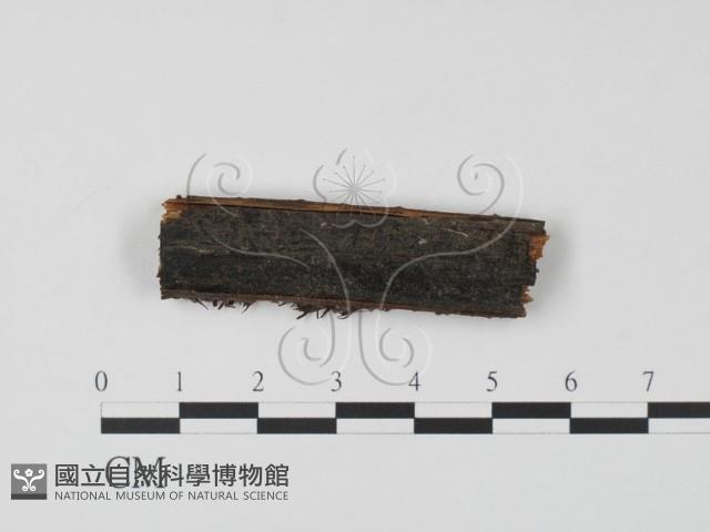 登錄號:F0019641藏品圖，第3張