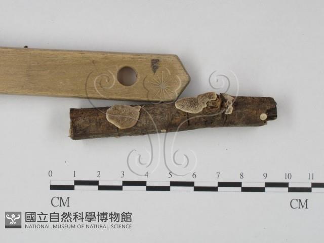 登錄號:F0023641藏品圖，第3張