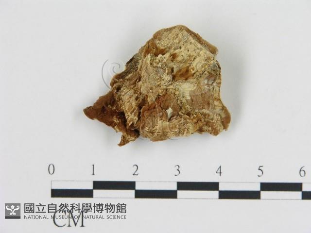 登錄號:F0006441藏品圖，第3張