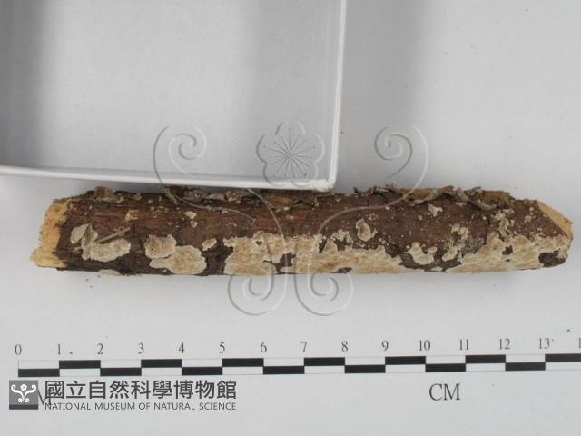 登錄號:F0022441藏品圖，第3張