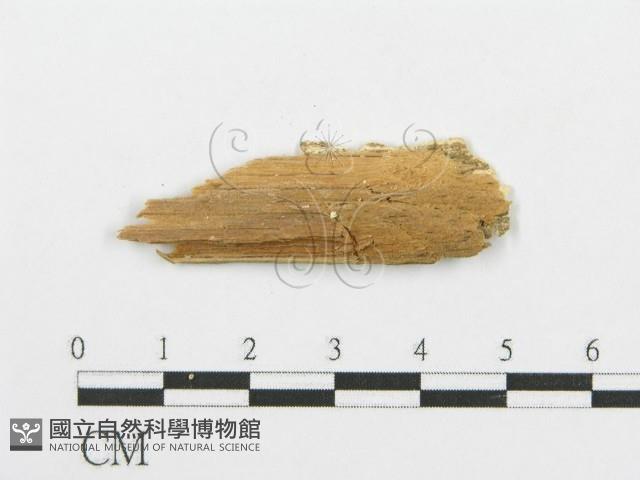 登錄號:F0005741藏品圖，第3張