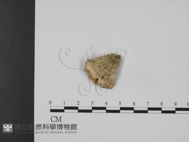 登錄號:F0017541藏品圖，第3張