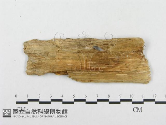 登錄號:F0008141藏品圖，第3張