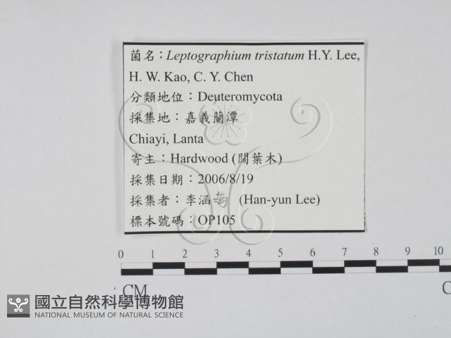 登錄號:F0022141藏品圖，第3張