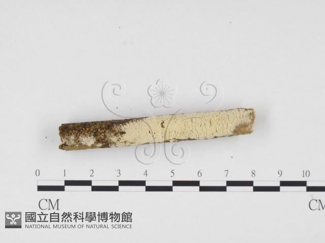 登錄號:F0012141藏品圖，第3張