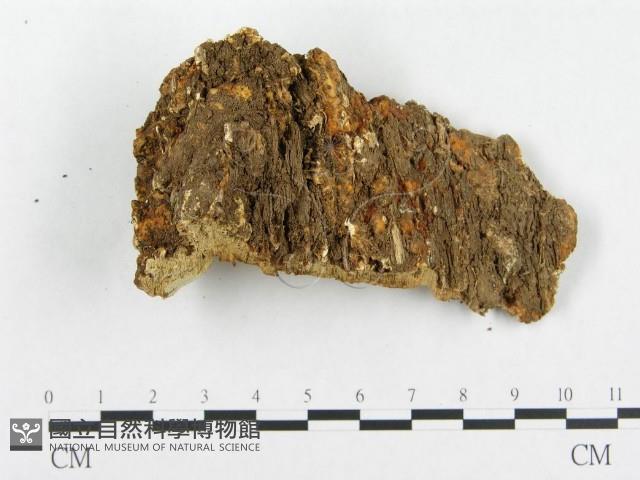 登錄號:F0007141藏品圖，第3張