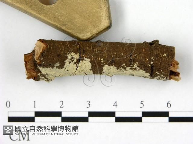 登錄號:F0020041藏品圖，第3張