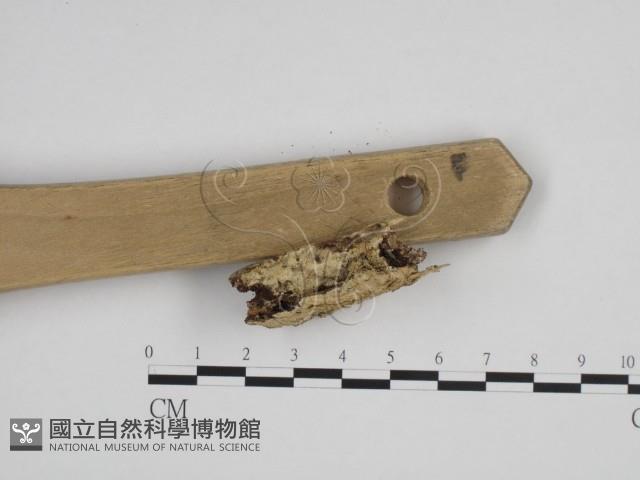 登錄號:F0009041藏品圖，第3張