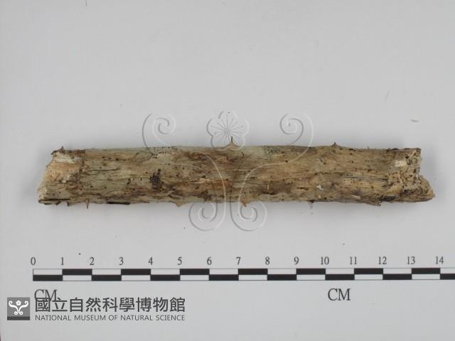 登錄號:F0001341藏品圖，第3張