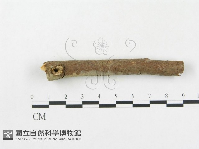 登錄號:F0009341藏品圖，第3張