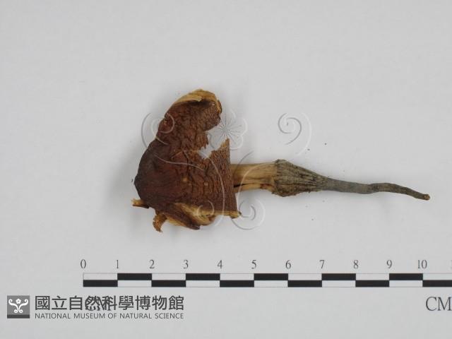 登錄號:F0024231藏品圖，第3張
