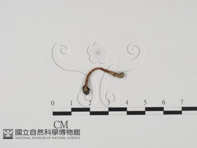 登錄號:F0002231藏品圖，第3張