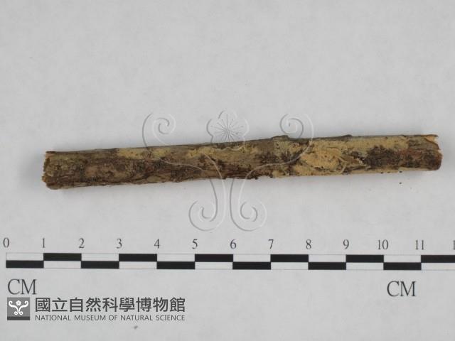 登錄號:F0024831藏品圖，第3張