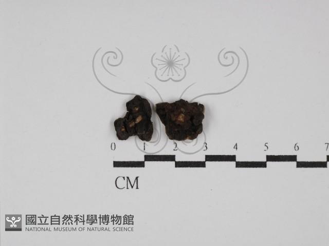 登錄號:F0029831藏品圖，第3張