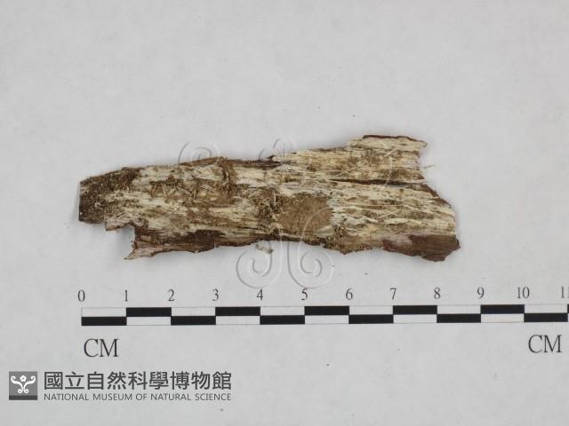 登錄號:F0024931藏品圖，第3張