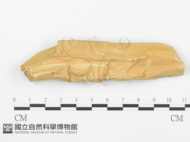 登錄號:F0013931藏品圖，第3張