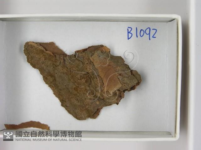 登錄號:F0021631藏品圖，第3張