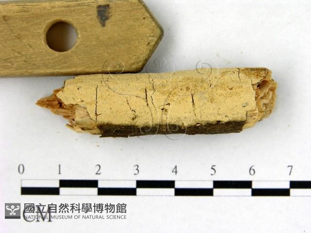 登錄號:F0022631藏品圖，第3張
